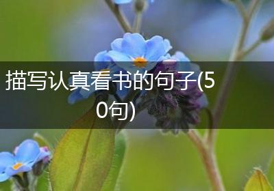 描写认真看书的句子(50句)