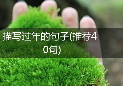 描写过年的句子(推荐40句)