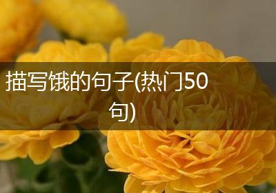 描写饿的句子(热门50句)