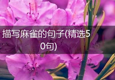 描写麻雀的句子(精选50句)