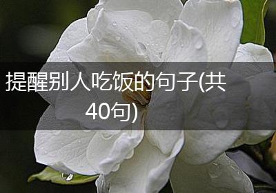 提醒别人吃饭的句子(共40句)