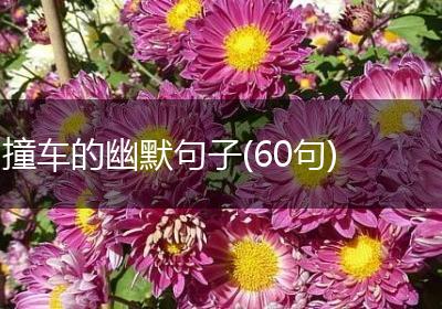 撞车的幽默句子(60句)
