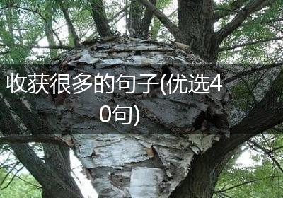 收获很多的句子(优选40句)