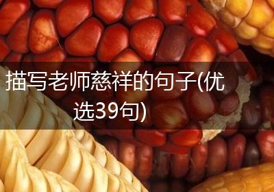 描写老师慈祥的句子(优选39句)