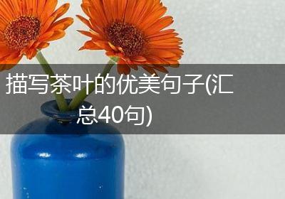 描写茶叶的优美句子(汇总40句)