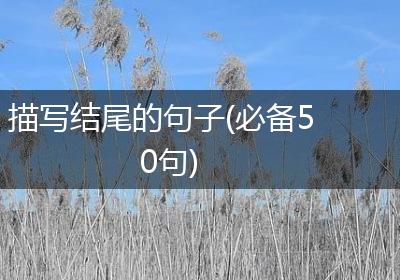 描写结尾的句子(必备50句)