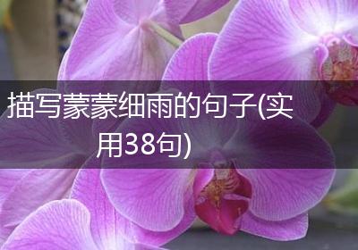 描写蒙蒙细雨的句子(实用38句)
