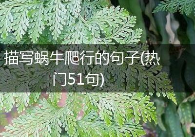 描写蜗牛爬行的句子(热门51句)
