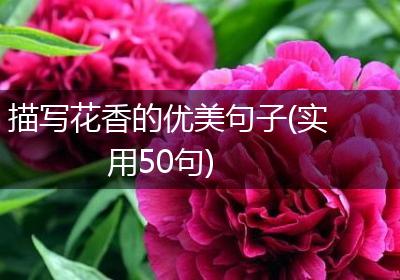 描写花香的优美句子(实用50句)