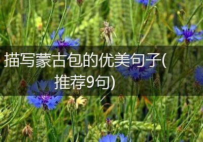 描写蒙古包的优美句子(推荐9句)