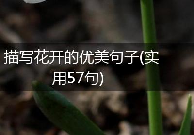 描写花开的优美句子(实用57句)