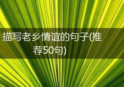 描写老乡情谊的句子(推荐50句)