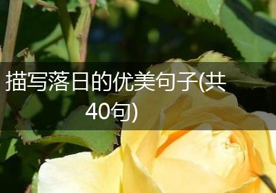 描写落日的优美句子(共40句)