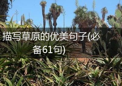 描写草原的优美句子(必备61句)