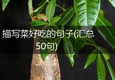 描写菜好吃的句子(汇总50句)