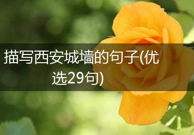 描写西安城墙的句子(优选29句)