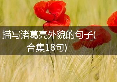 描写诸葛亮外貌的句子(合集18句)