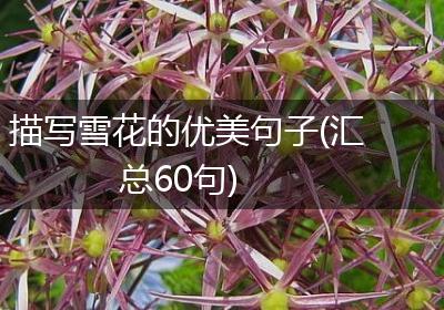 描写雪花的优美句子(汇总60句)