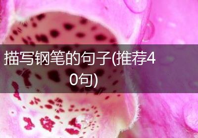 描写钢笔的句子(推荐40句)