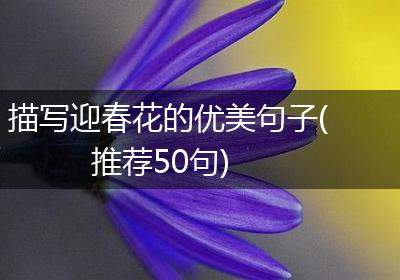 描写迎春花的优美句子(推荐50句)