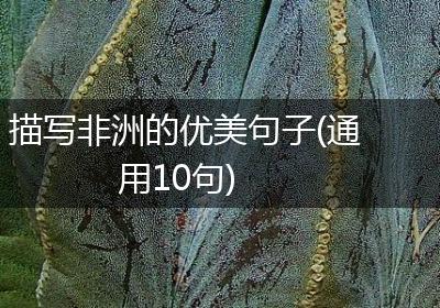 描写非洲的优美句子(通用10句)