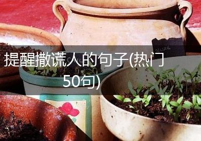提醒撒谎人的句子(热门50句)