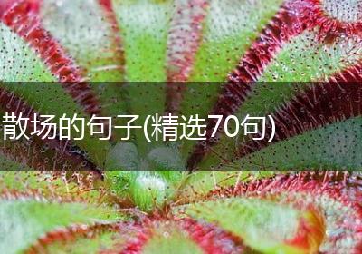 散场的句子(精选70句)