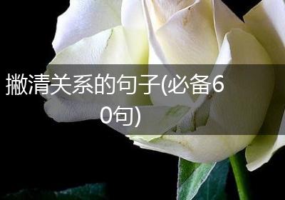 撇清关系的句子(必备60句)