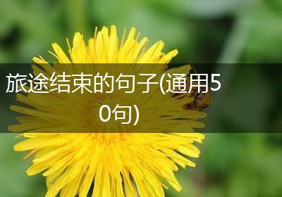 旅途结束的句子(通用50句)