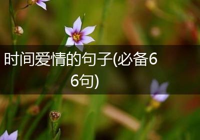 时间爱情的句子(必备66句)