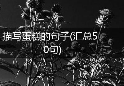 描写蛋糕的句子(汇总50句)