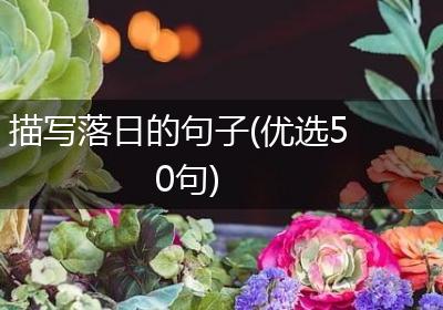 描写落日的句子(优选50句)