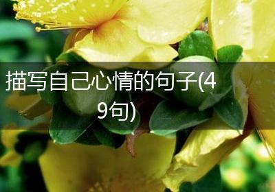 描写自己心情的句子(49句)