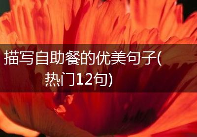 描写自助餐的优美句子(热门12句)
