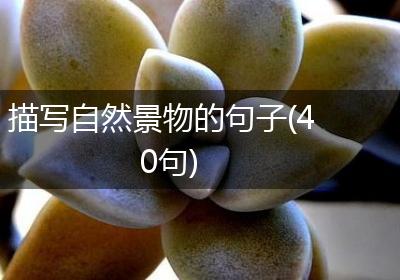 描写自然景物的句子(40句)