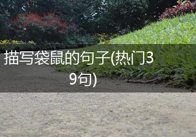 描写袋鼠的句子(热门39句)