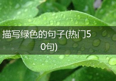 描写绿色的句子(热门50句)