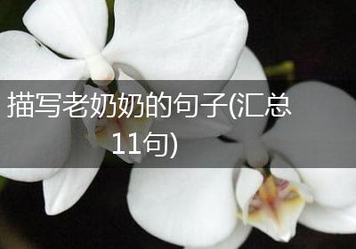 描写老奶奶的句子(汇总11句)