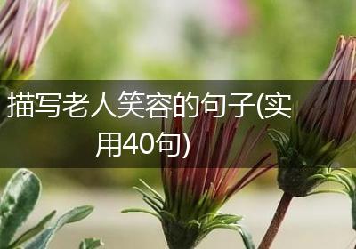 描写老人笑容的句子(实用40句)