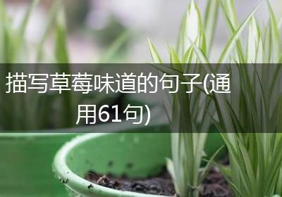 描写草莓味道的句子(通用61句)
