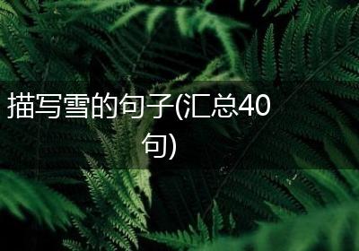 描写雪的句子(汇总40句)