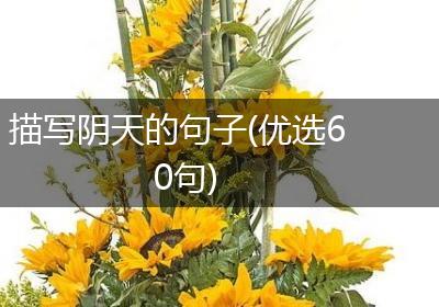 描写阴天的句子(优选60句)