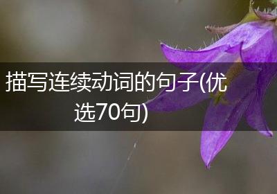 描写连续动词的句子(优选70句)