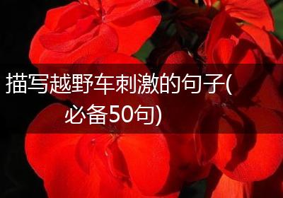 描写越野车刺激的句子(必备50句)
