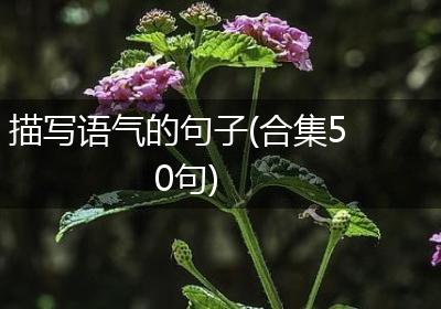 描写语气的句子(合集50句)