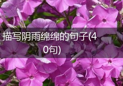 描写阴雨绵绵的句子(40句)