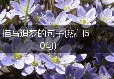 描写追梦的句子(热门50句)