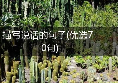 描写说话的句子(优选70句)