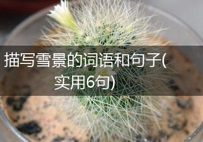 描写雪景的词语和句子(实用6句)
