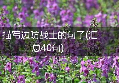 描写边防战士的句子(汇总40句)